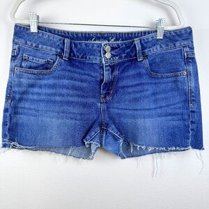 AMERICAN EAGLE Artist Stretch Custom DIY Cut Off Denim Shorts / Plus Size 16
